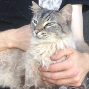 Meet your Posher, Brittney